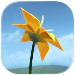 Flower 花